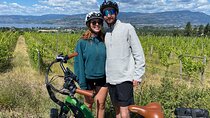 Kelowna Guided E-Bike Wine Tour with Tastings and Okanagan Lunch