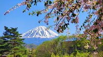 Mount Fuji Full-Day Private Tour from Tokyo (Customizable)