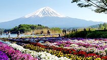 Mount Fuji and Hakone Private Tour from Tokyo (Customizable)