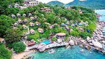 Koh Tao & Koh Nang Yuan Snorkeling Day Trip with Lunch