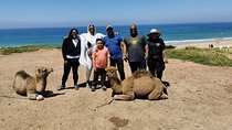 Private Tour of Tangier: Exploration and Camel Ride Included 