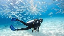 Scuba Beginner Diving and Snorkeling with Lunch From Hurghada
