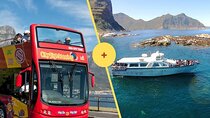 Cape Town Hop On Hop Off Bus and Seal Island Cruise Adventure