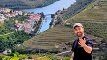 Douro Valley Wine Tour - Small Group Tastings, Lunch & Boat tour