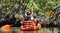 Phuket Deep Roots Jungle to Sea Kayaking and Trekking Adventure