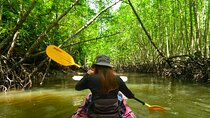 Kayak Ao Thalane Hidden Mangroves and Limestone Cliffs in Krabi 