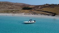 Private Speed Boat Trip from Mykonos to Delos and Rineia - 7 hrs
