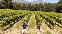 Private Cape Town Wine Tour 3 Tastings, Lunch and Expert Guide