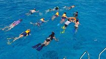 Snorkeling Trip in Hurghada