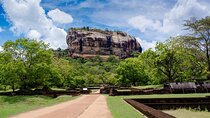 Sigiriya & Dambulla Day Tour with Wildlife Safari from Colombo