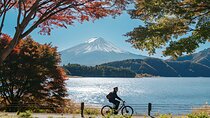 Fuji Five Lakes Guided Day Trip