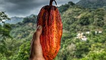 Magic Minca : Waterfalls, Cocoa Workshop and Coffee From Santa Marta