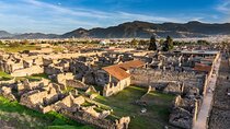 Pompeii and Amalfi Coast Customizable Private Tour from Naples