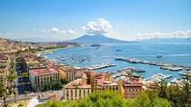Private Pompeii and Vesuvius Day Trip from Naples