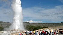 Yellowstone Private Tour