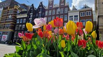 Amsterdam Self Guided Walking Route of Highlights and Hidden Gems