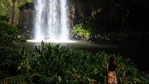 Cairns Day Tour Private Waterfall