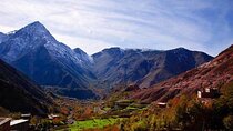 Ourika Valley Day Trip from Marrakech – Waterfalls, Berber Lunch
