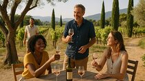 Vineyards and Castles of Provence Private Tour