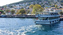 Princes' Islands Tour from Istanbul Lunch Included
