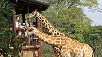 Kenya Nature and Wildlife Multi Day Tour