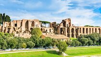 Guided Tour Rome a Colosseum Roman Forum and Palatine Hill