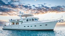 Dubai Xclusive Superyacht Brunch Tour with Transfer Option