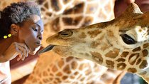  Giraffe Centre Nairobi City Tour Explore