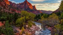 Zion National Park Full Day Insider Tour