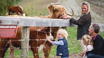 Queenstown: Walter Peak Farm Tour and Lake Cruise