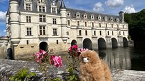 Small Group 3 Loire Valley Castles & Wine Tasting Guided Tour