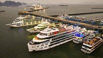Luna Cruise Halong Bay – Exclusive Day Trip from Ha Long Port