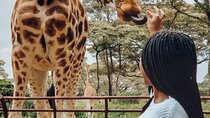 Giraffe Centre and Bomas of Kenya from Nairobi