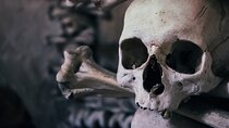 Step Back in Time: Discover Kutna Hora’s Magic with Mytripline