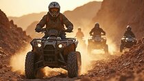 Sharm El Sheikh Desert Safari with Quad or Buggy, Dinner and Show