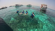 Oman's Ad Dimaniyat Islands Shared Snorkeling Adventure