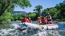 Durango 3/4 Day Rafting Trip with Lunch - Lower Animas River