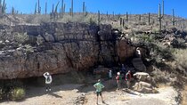Guided Hike in the Sonoran Desert