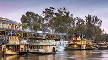 Small-Group Murray River Adventure - Paddle Steamer & Wildlife