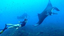 All-Inclusive Bali to Nusa Penida Tour and Manta Snorkeling
