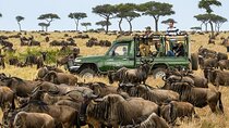 5 Days Maasai Mara and Ol Pejeta Conservancy Safari on 4WD Jeep
