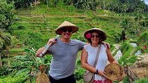 Ultimate Ubud Private Nature Tour