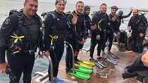 Daily Diving with Equipment from Hurghada