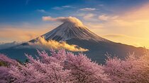 Mt FUJI Day Tour with Private Car and English Speaking Guide