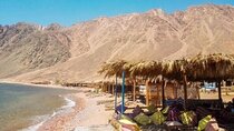 Sharm El-Sheikh, Canyon Salama Safari and 3 Pools Snorkeling Tour