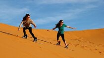 Dubai Morning Safari Adventure, Dune Bashing and Camel Experience