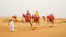 Sunset Camel Ride with Sandboarding and Lavish BBQ Dinner Buffet