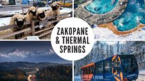 Zakopane & Thermal springs with private driver