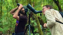 EXCLUSIVE Monteverde Nature Walk + Hummingbirds with FREE Binocs