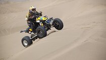 Experience Quad Bike, BBQ Dinner and Live Show in Dubai 